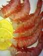 Argentine Red Shrimp (2lbs @ $16.50 /lb) (EZpeel 16/20)